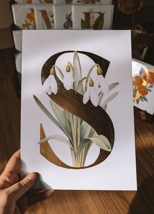 A hand holds a white art print featuring a large decorative letter S filled with white snowdrop flowers and green leaves, set against a warm wooden background with other botanical prints visible.