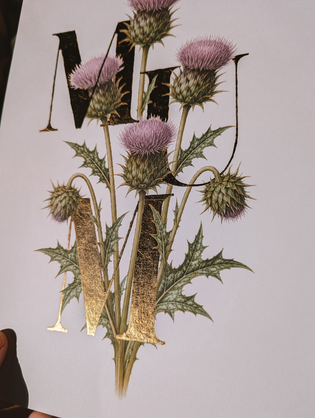 A botanical art print featuring purple thistle flowers, green spiky leaves, and large decorative gold foil letters on a white background.